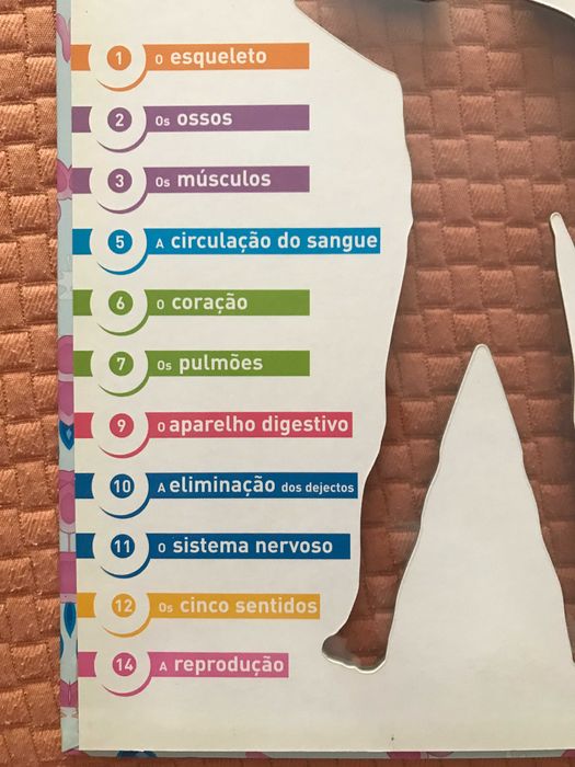 Livro sobre o Corpo Humano