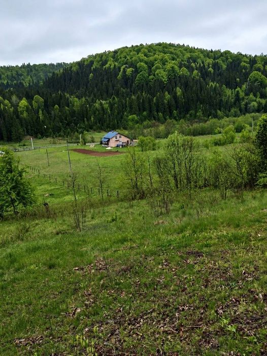 Земельні ділянки під будівництво с. Витвиця