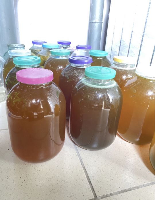 Продам домашний мед разнотравье