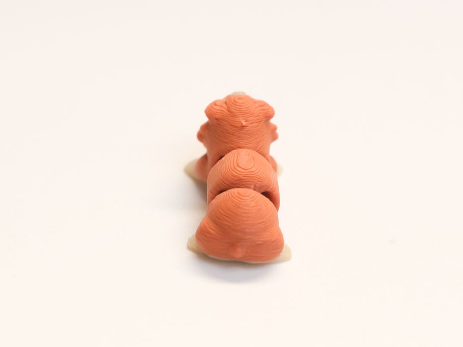 Mini porco de Guiné