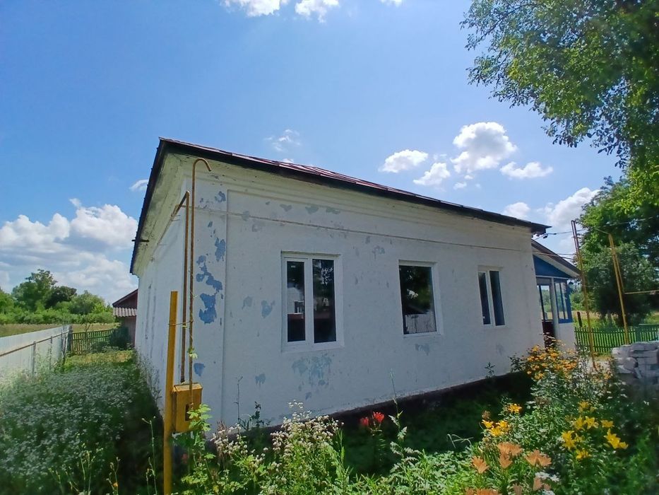Продається будинок у с.Бахмач
