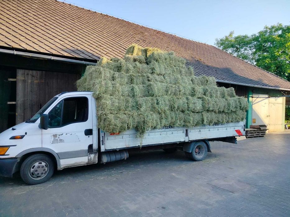 Sprzedam siano w kostkach.