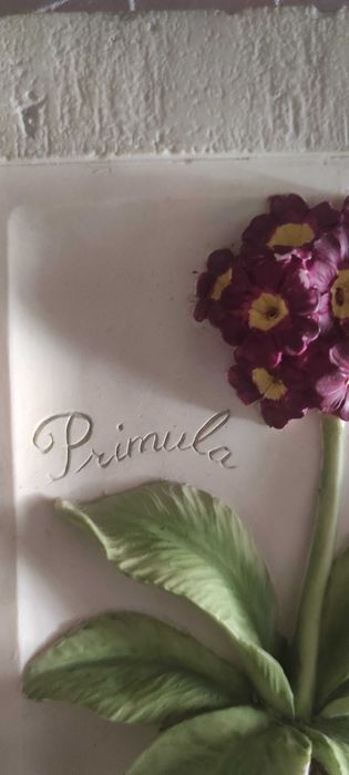 Quadro de barra usado