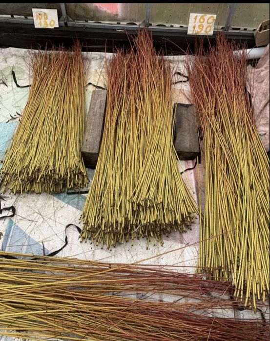 Енергетична верба живці лоза для живопдоту ива