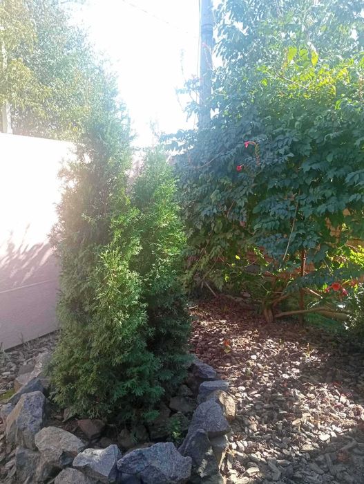 Дом по адресу ул. Бандеры Степана (площадь 65 м²) - Atlanta.ua - фото 7