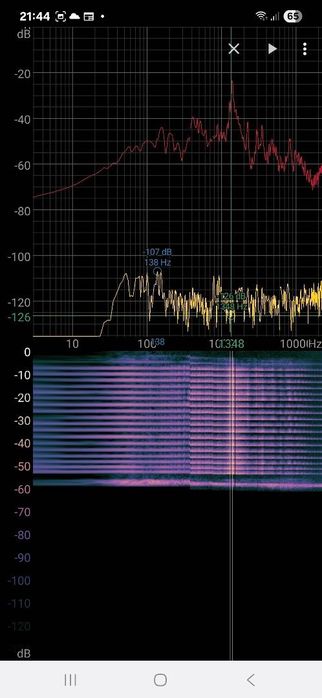 Butterfly Apolonia ZLC