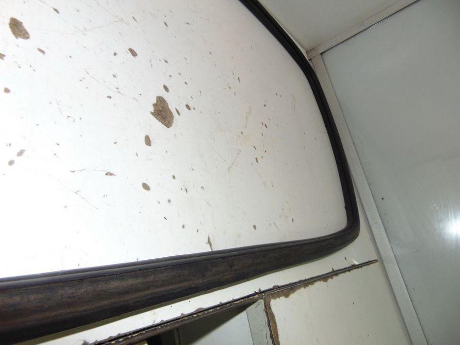 Volvo 144 borracha do vidro do oculo