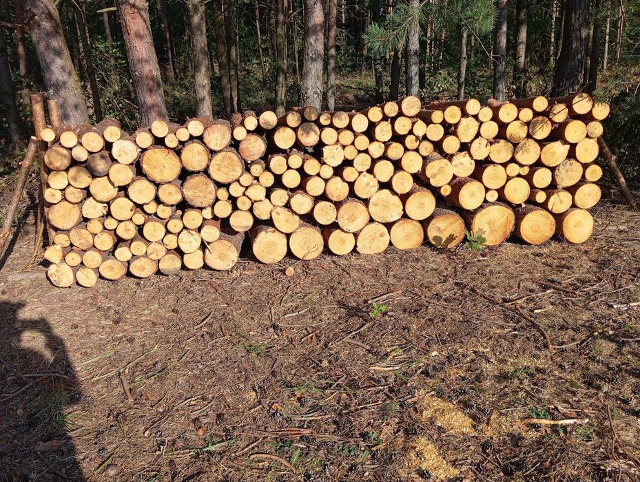 Sprzedam drewno opałowe.