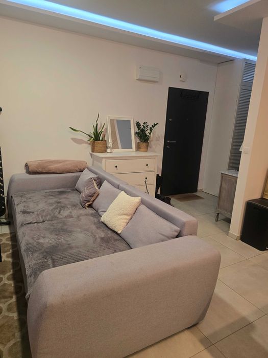 Dojlidy/zwierzęta akceptowane