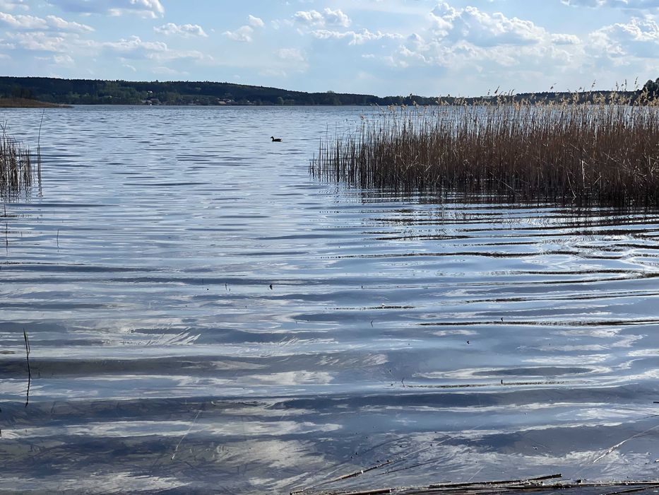 Domek letniskowy Boszkowo Starkowo - Zatoka