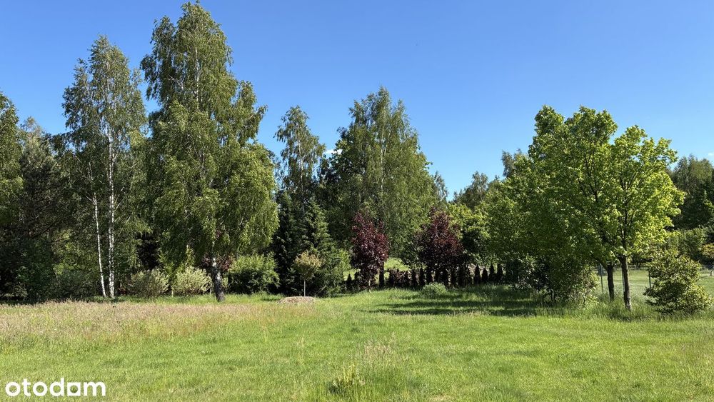 Bezpośrednio- wyjątkowa działka budowlana, zieleń, cisza, natura - Widok 4