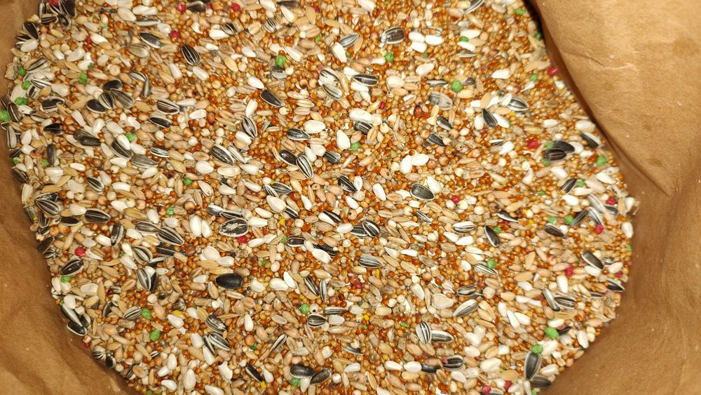 Karma dla papug Papuga średnia20kg Paś Kampol