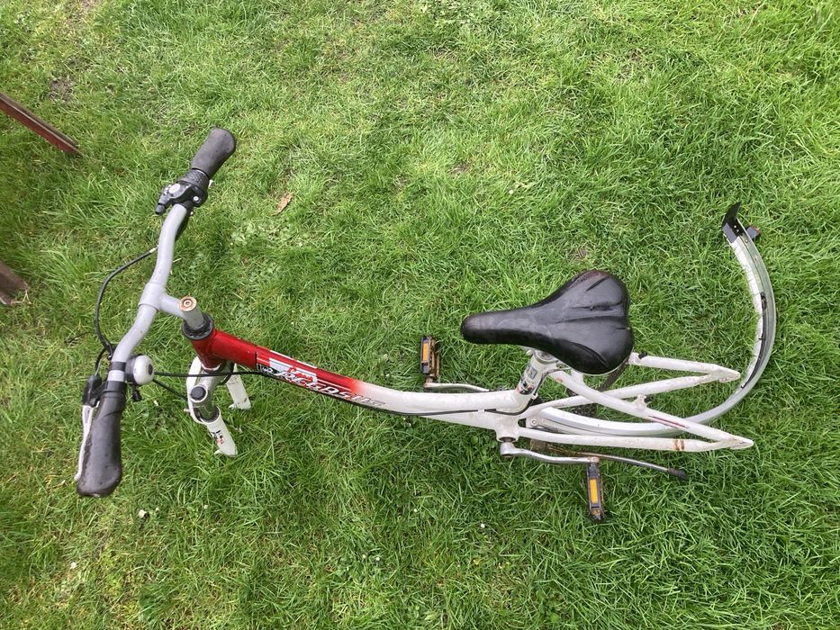 Rower miejski Pegasus