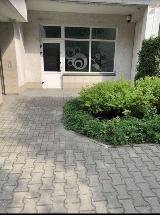 Zdjęcie 6