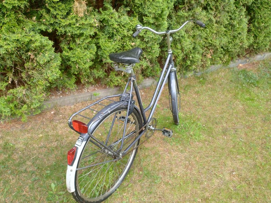 Damka Holenderka 28"