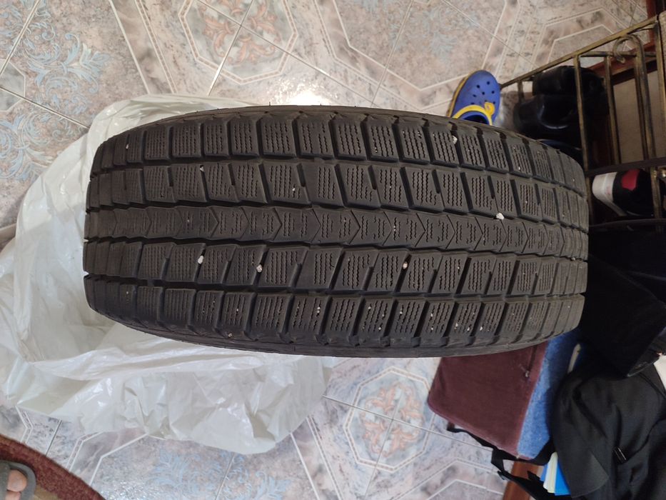 Шини зимові Nexen