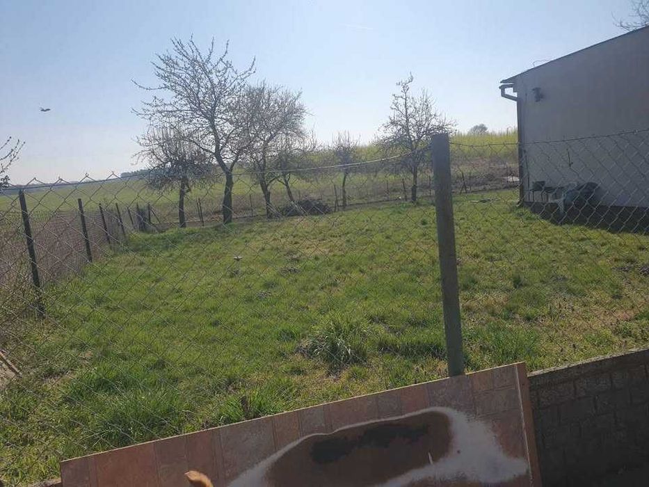 Budynek handlowy usługowy lub mieszkalny 73 m² + działka 7,7 ar