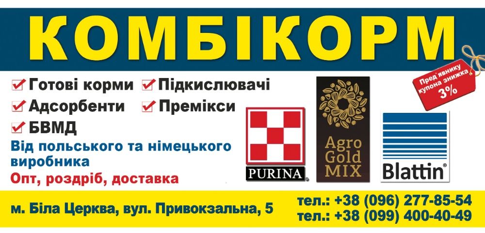 Поліграфія (візитки, флаєри, листівки, буклети, наклейки).