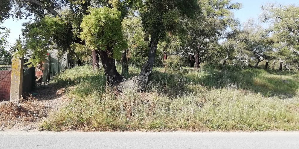 Terreno em Poceirão
