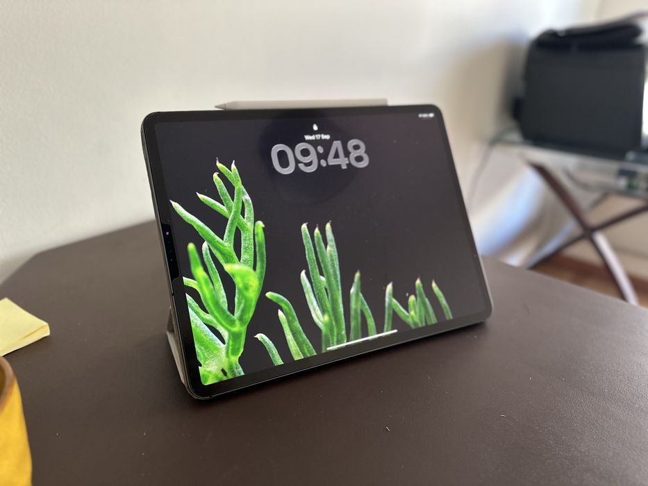 Ipad Pro 12.9 256gb WIFI+CELLULAR and APPLE Pencil, 3 cases63825184744961122