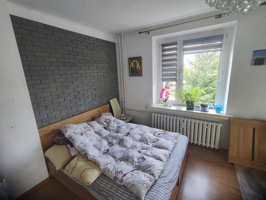 Zdjęcie 5
