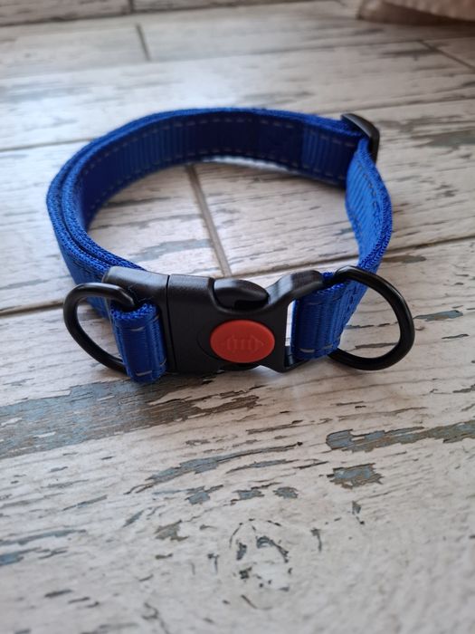 Ошийник собачий з фіксатором