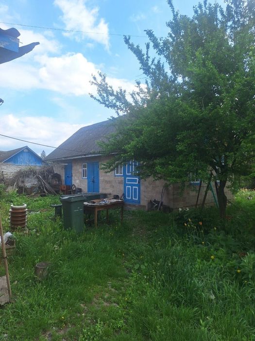 Будинок в центрі міста/сертифікат