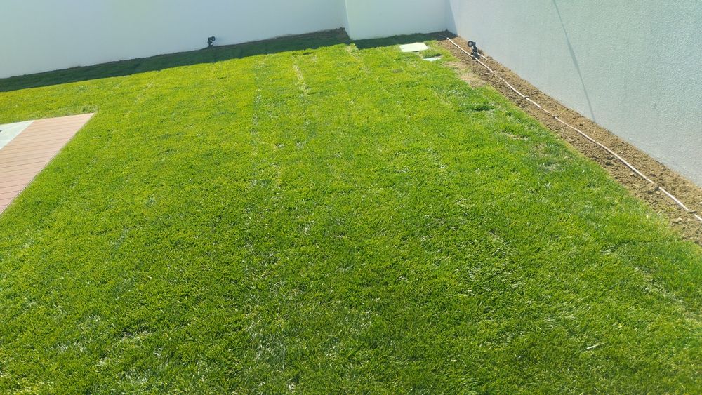 Limpeza de terreno e jardim