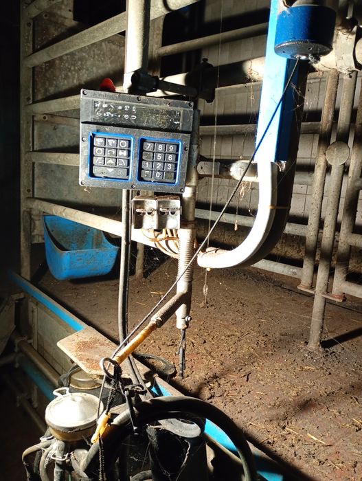 Hala udojowa auto tandem alfa laval 2×2