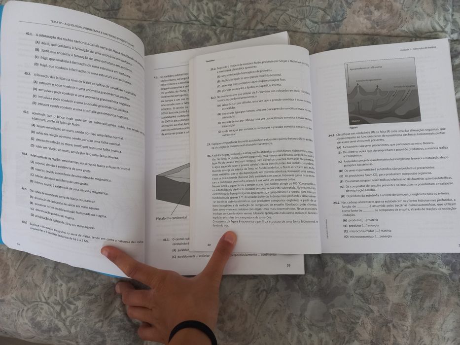 Livros de questões de exame Biologia e Geologia