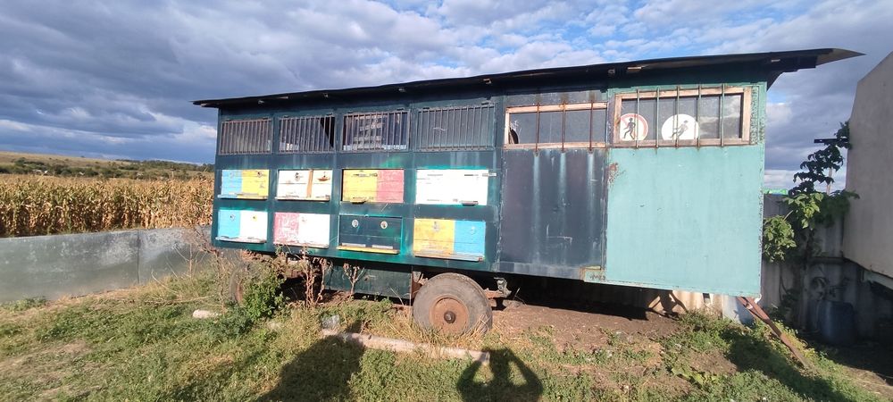 Продам пчелопавильен
