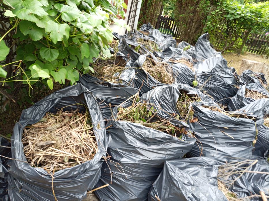 Koszenie karczowanie