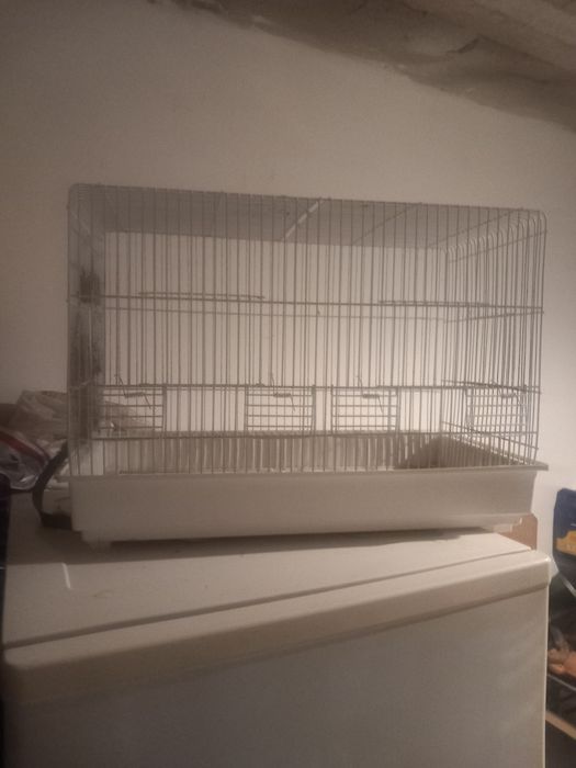 Gaiola para roedores