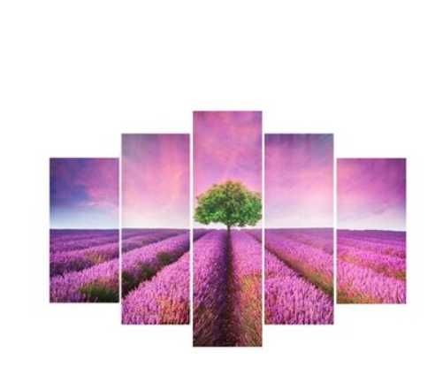 OBRAZ 5 - częściowy Lawenda 100 x 150 nowy