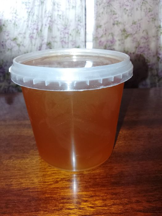 Продам соняшниковий мед