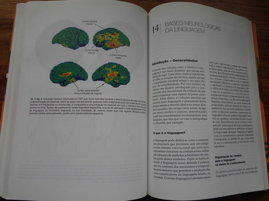 Bases Neurológicas dos Comportamentos
