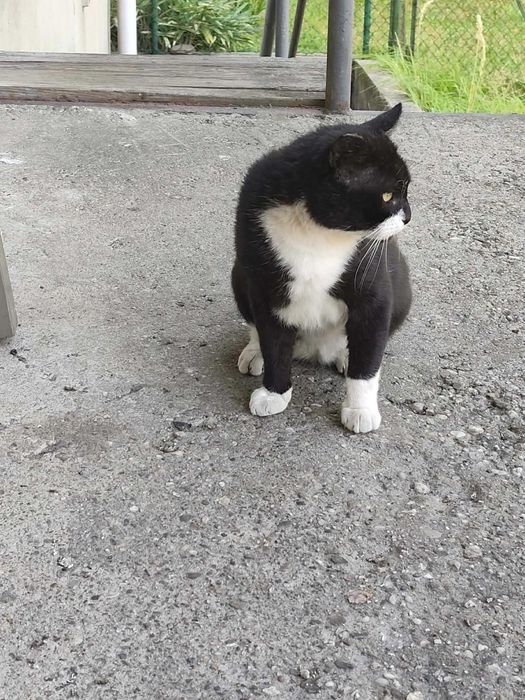 kto mnie przygarnie choć na chwilę?