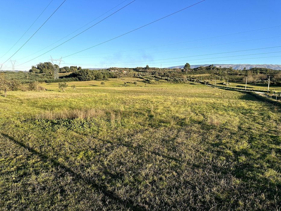 Refúgio de 9 Hectares com Vistas para a Serra da Estrela