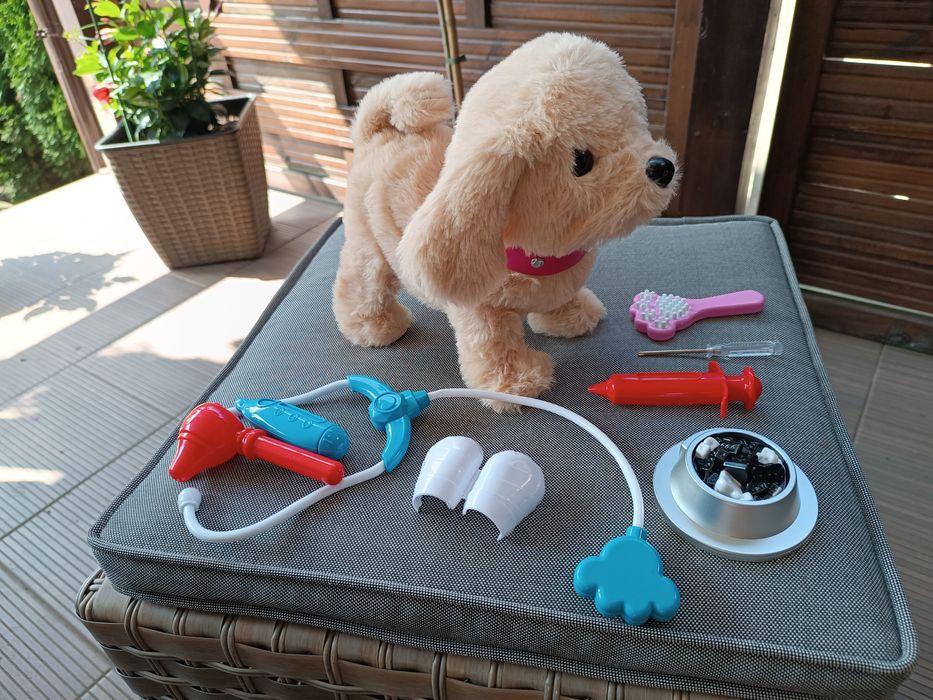 Piesek z akcesoriami