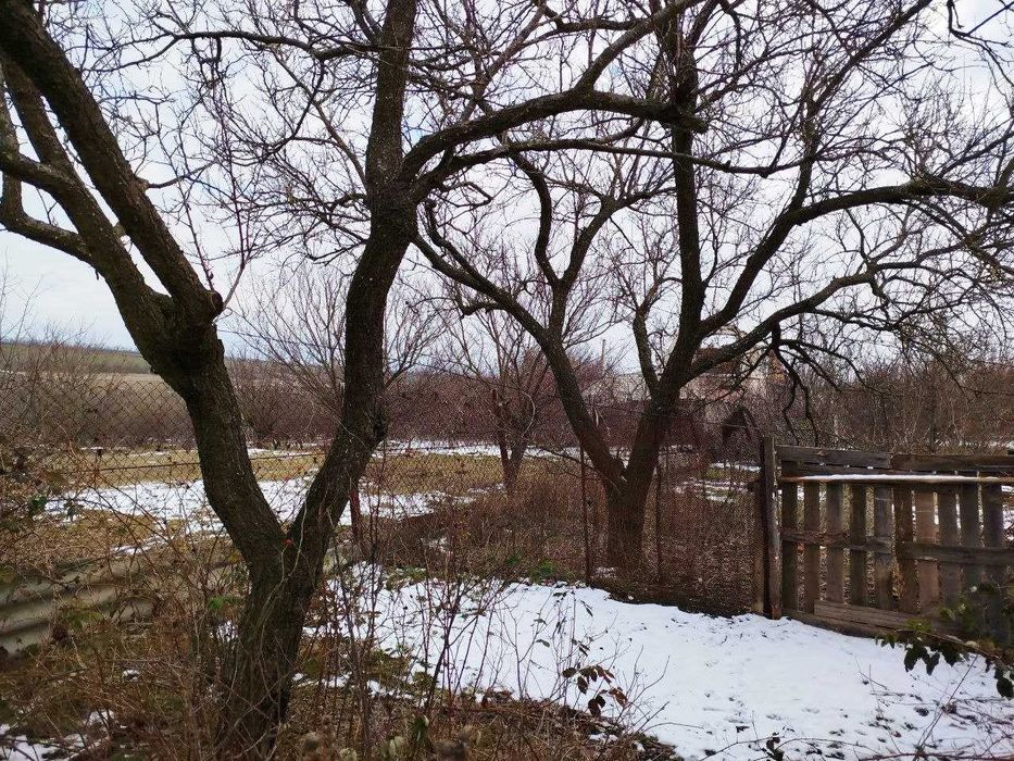 Продам капітальну дачу зимового типу.