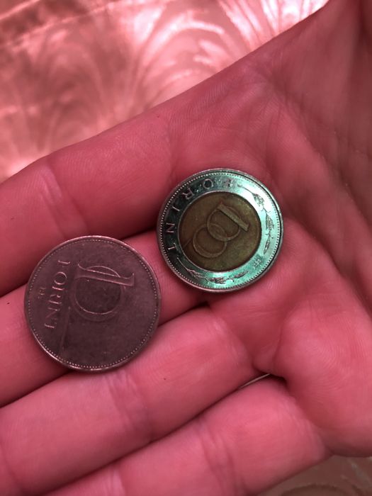 Могеты цена за все