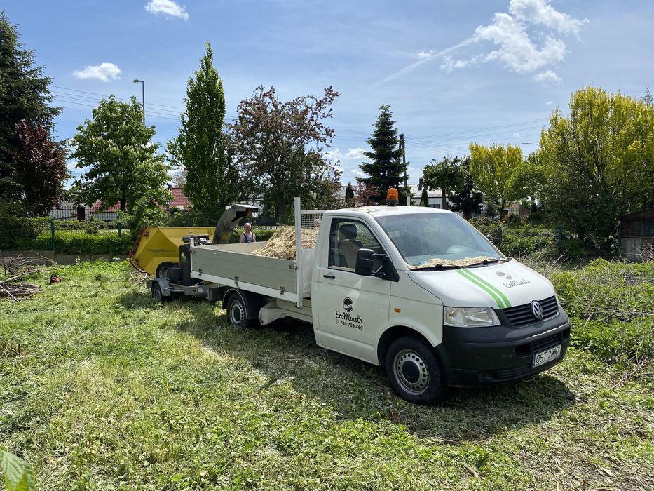 Wycinka drzew, krzaków, podcinanie drzew z podnośnika