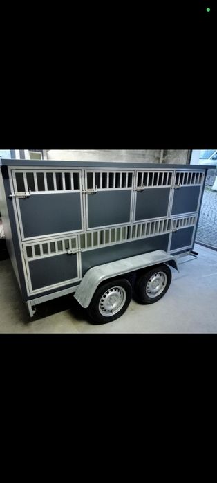 Transportadoras para cães em chapa com isolamento térmico