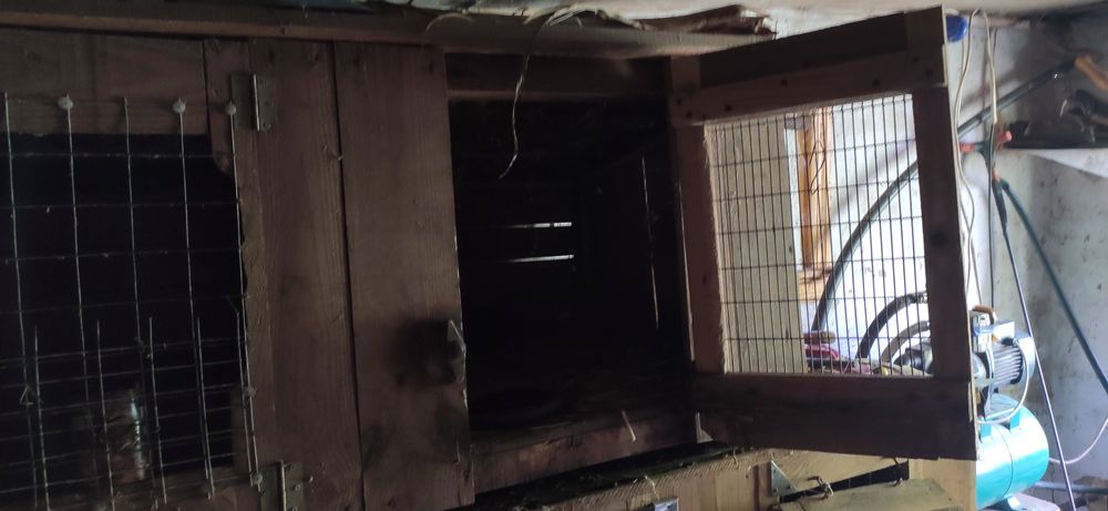 Клітки для кролів