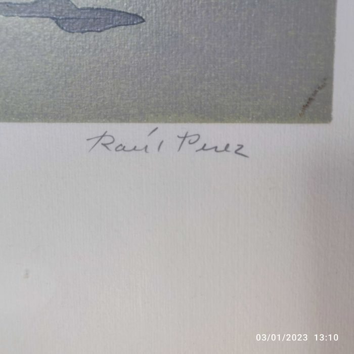 61a - Serigrafia de Raul Perez