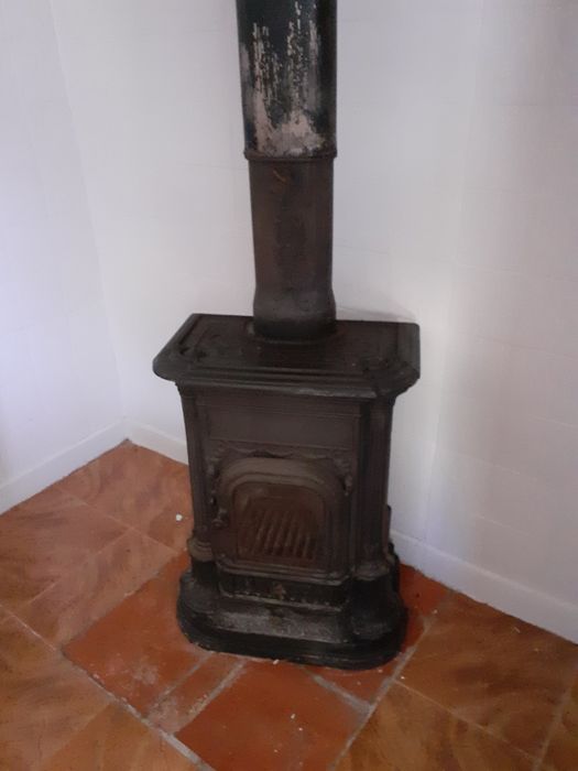 Salamadra em bom estado