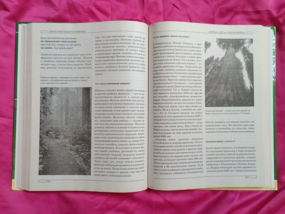 Книга ответов для почемучки. Детская энциклопедия на русском языке