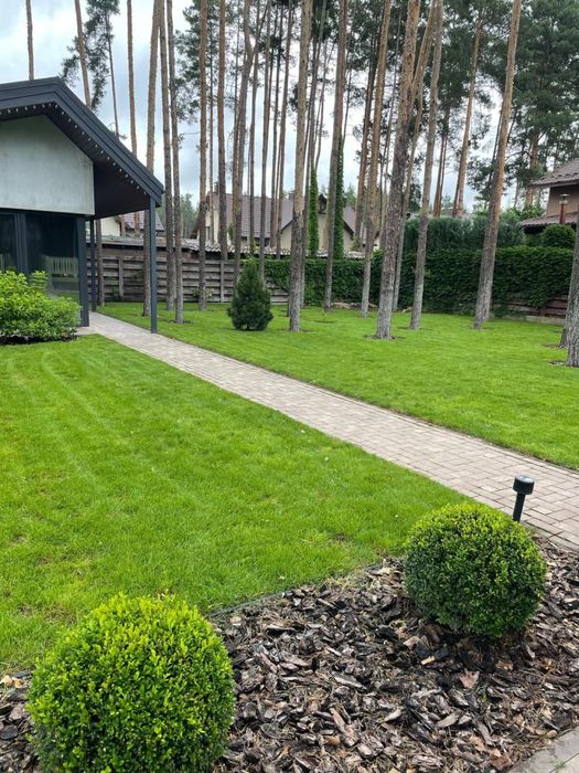 Комплексний догляд за газоном, підживлення, скарифікація