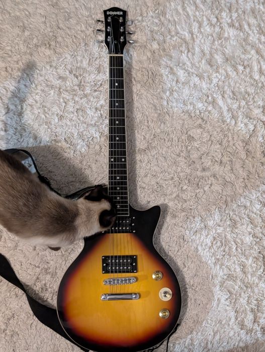 Guitarra elétrica  Donner