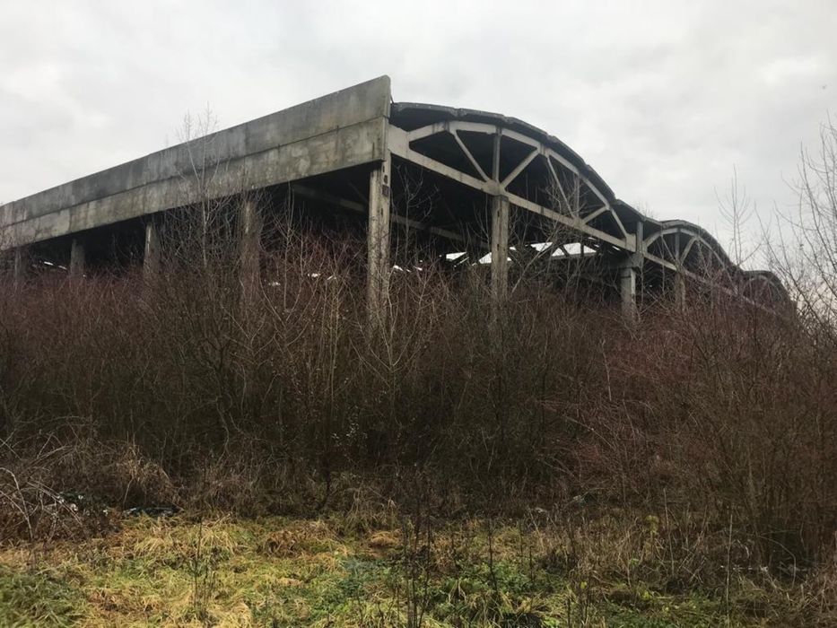 Продаж земельної ділянки Закарпатська обл. с. Чепа - 3,36 га